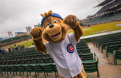 Why a Unique Cubs Mascot Name Could Set a New Trend in Sports
